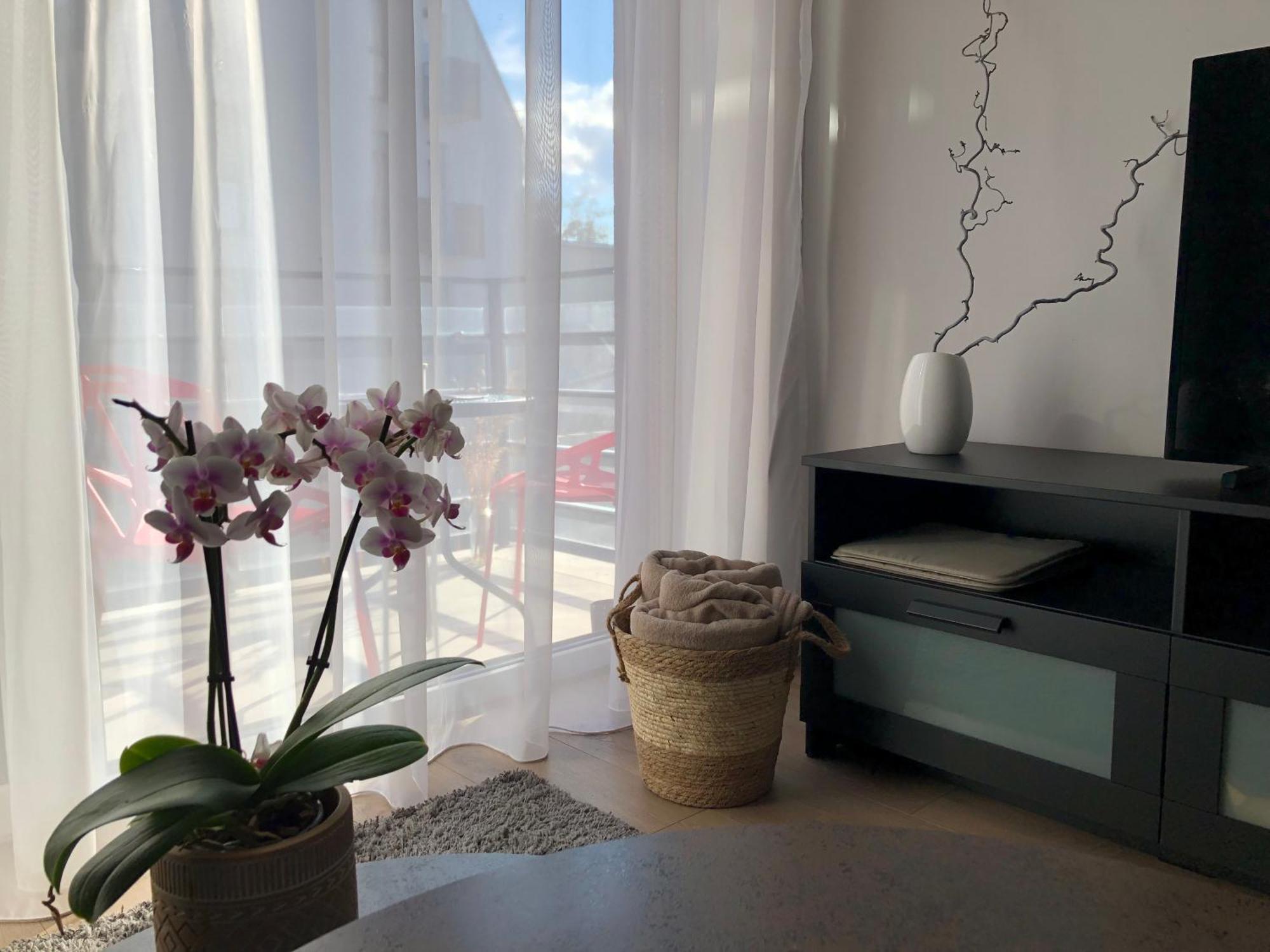 Cosy 1 Bedroom Apartment In The Heart Of Old Town With Parking คอนัส ภายนอก รูปภาพ